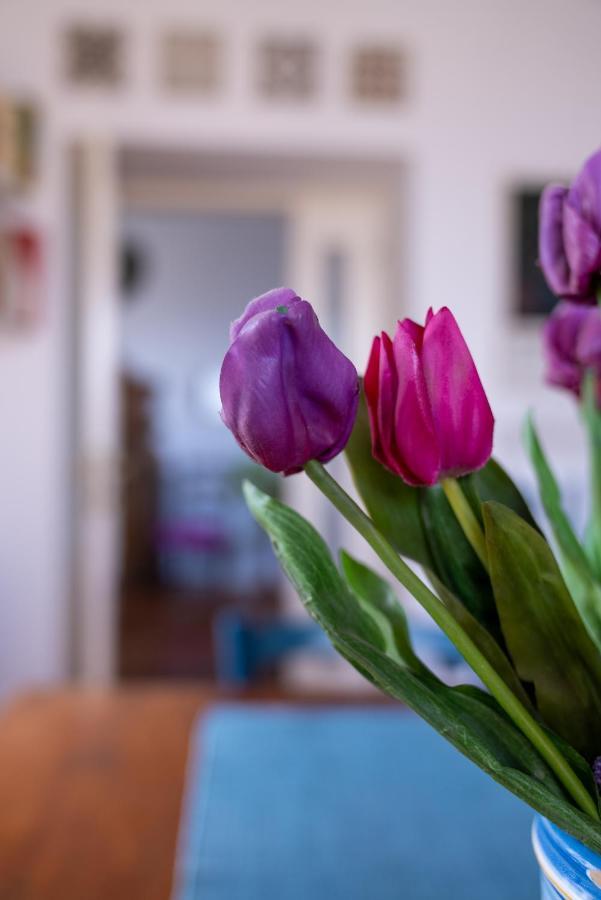 Casa Sofia Apt Napels Buitenkant foto